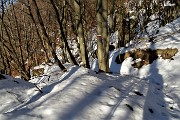 66 In discesa pestando neve non ghiacciata!